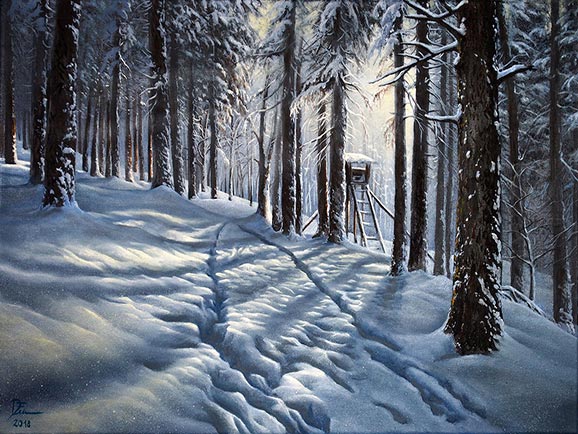 Wald mit Hochsitz und herrlichem Lichterspiel im Schnee