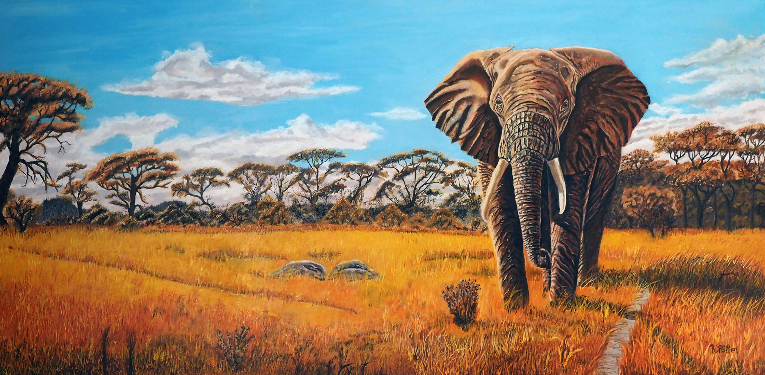 Elefant in Graßlandschaft (Afrika)