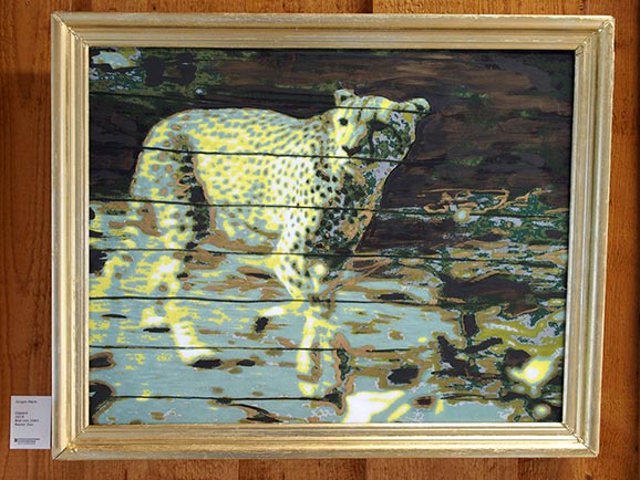 Gepard 2019 / Bild von 1963 Basler Zoo
