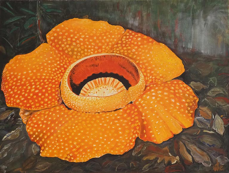 Ute Schmid - Rafflesia